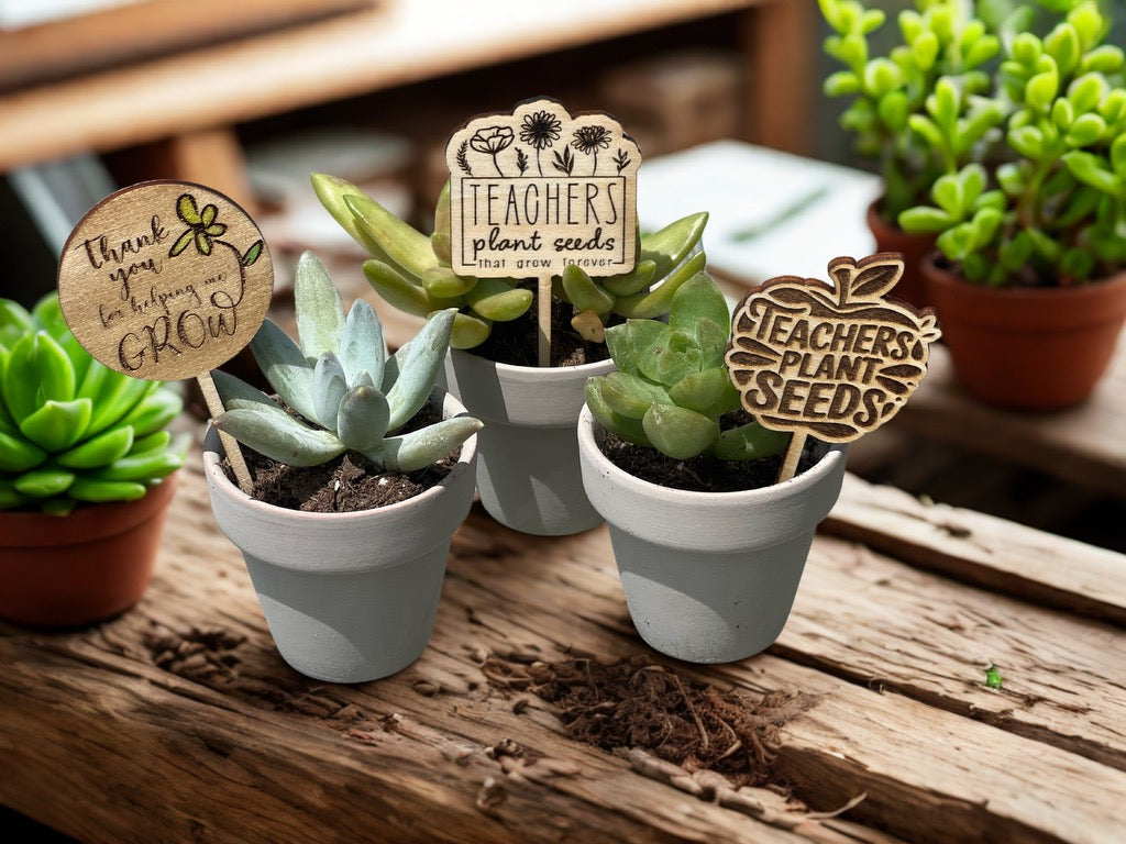 Succulent Picks
