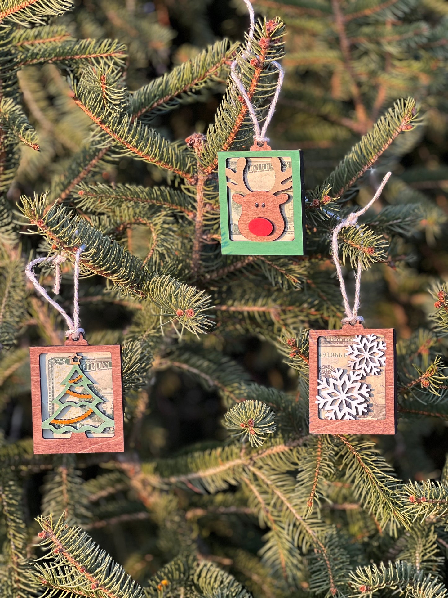 Money Christmas Ornament