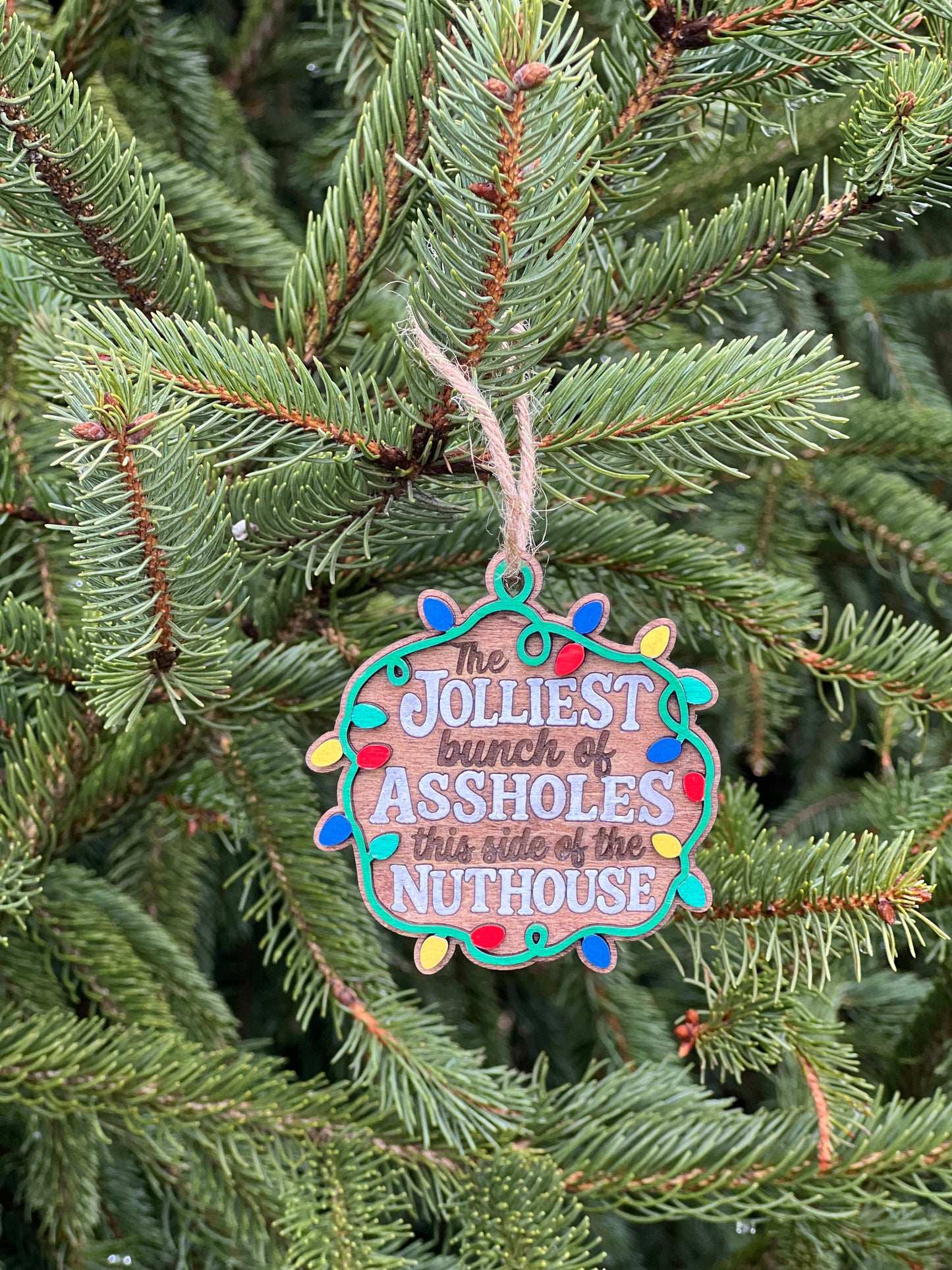 Lampoon’s Christmas Vacation Light Frame Ornament